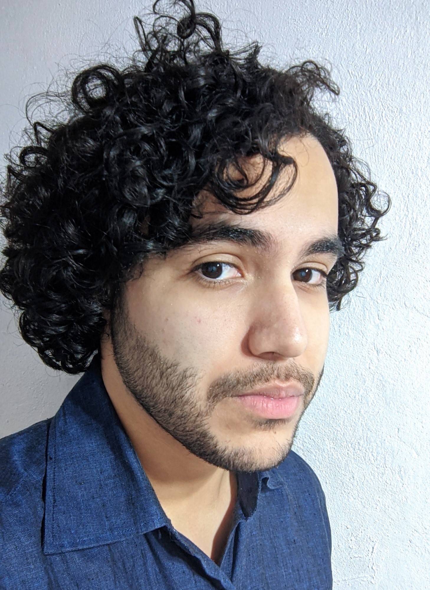 perfil